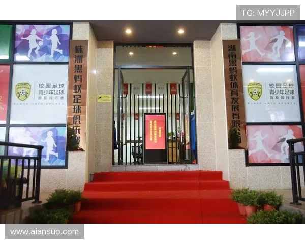 株洲队足球崛起之路凝聚城市激情点燃青年梦想的新篇章